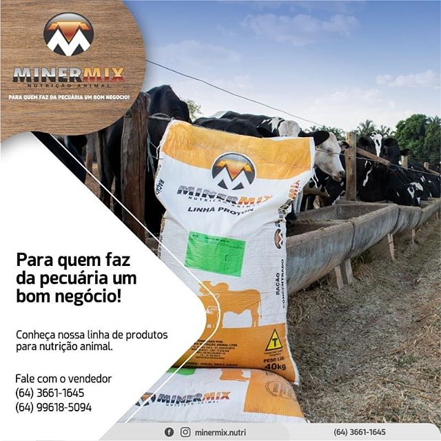 69236486_109129926989612_531413981956799279_n