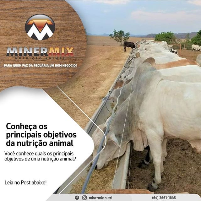 69163517_2527535817289907_2084111001899934962_n