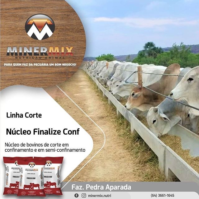 69676778_2956301814441448_6581791049930880159_n