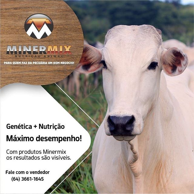 67590792_137134830889241_2168114919019615107_n