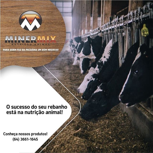 67800783_507503426667801_5785047252455690014_n