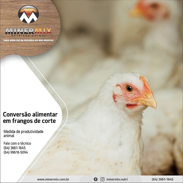 70737275_152057322553044_5171958582009055830_n