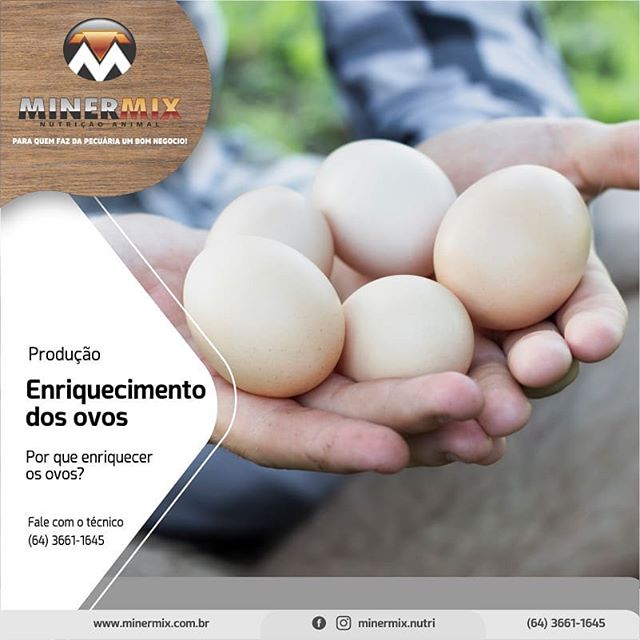 72789107_447138202600788_3593032595799511154_n