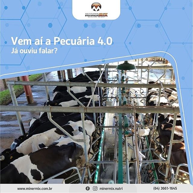 76968572_567685660743730_7988920748638823101_n