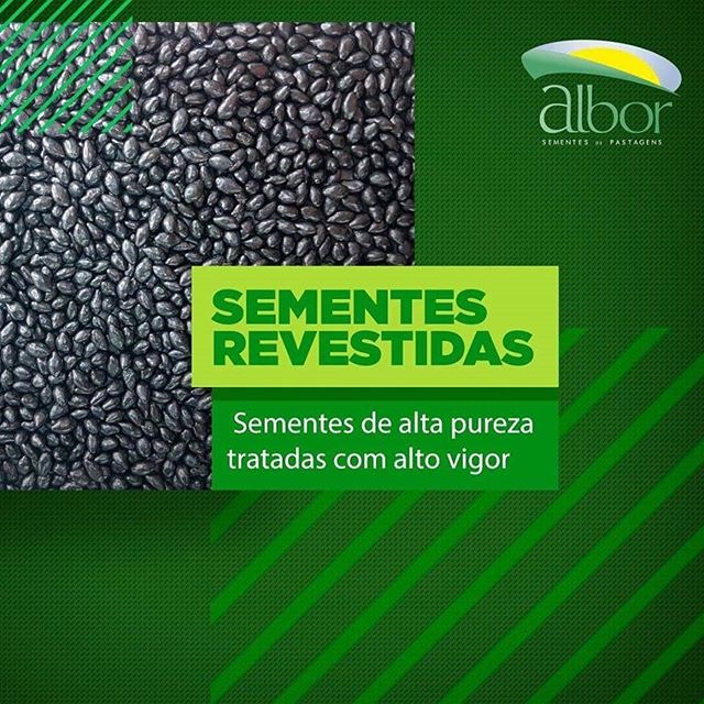 80753418_788492051616619_1823425254733901931_n