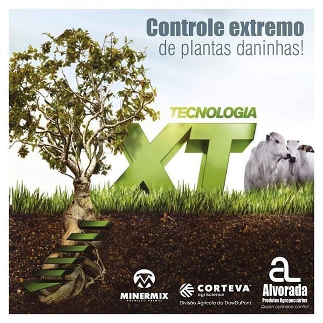 83314995_573907999855340_4652847683466676765_n