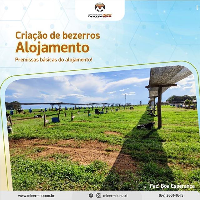 80420057_600134283881705_3789536450599215482_n