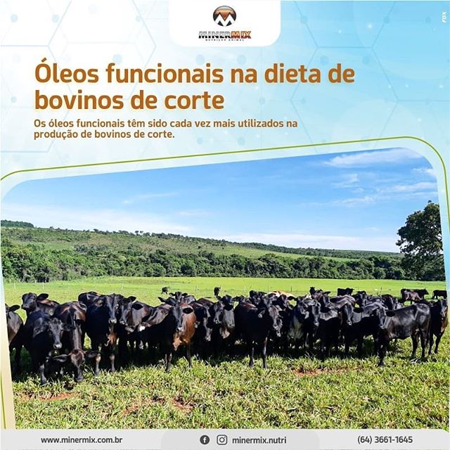 81805167_212640796562652_7088857276218232502_n