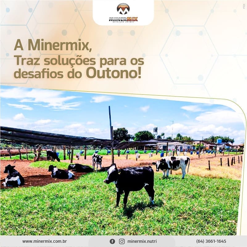 94576140_676579499798759_1120826116419589187_n(1)