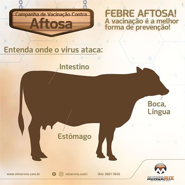 93967425_907403586361647_3618107025722868303_n