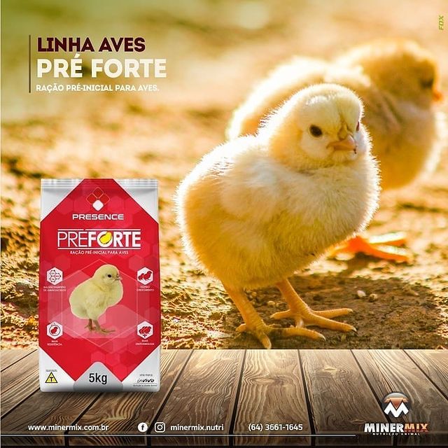 139418915_111415144229301_2880166266365090956_n