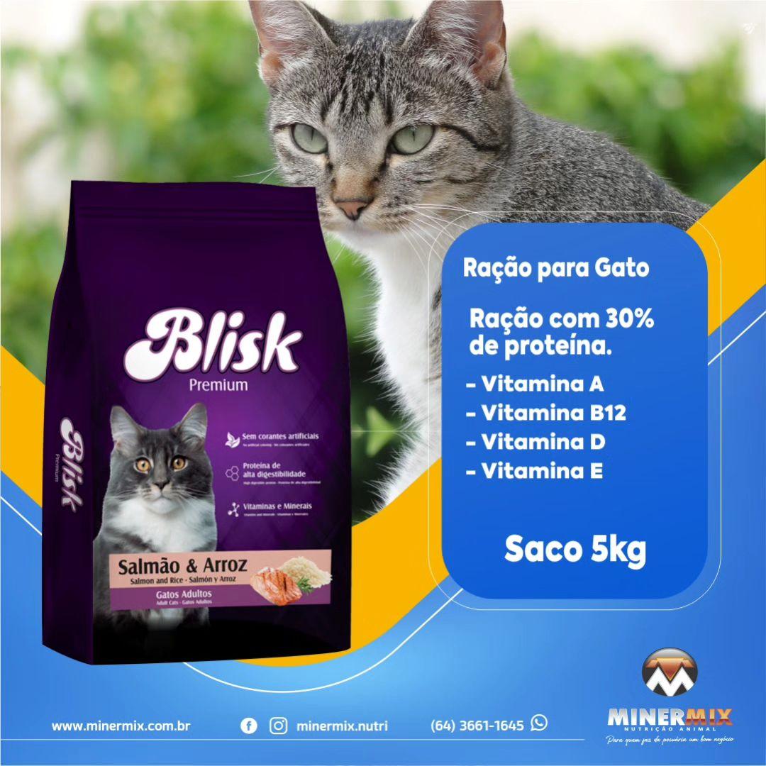 raçao p gato