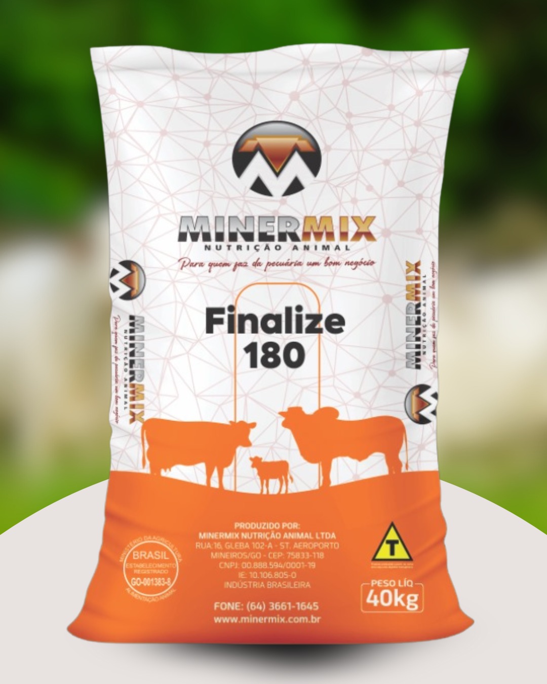 WhatsApp Image 2025-04-09 at 08.22.00