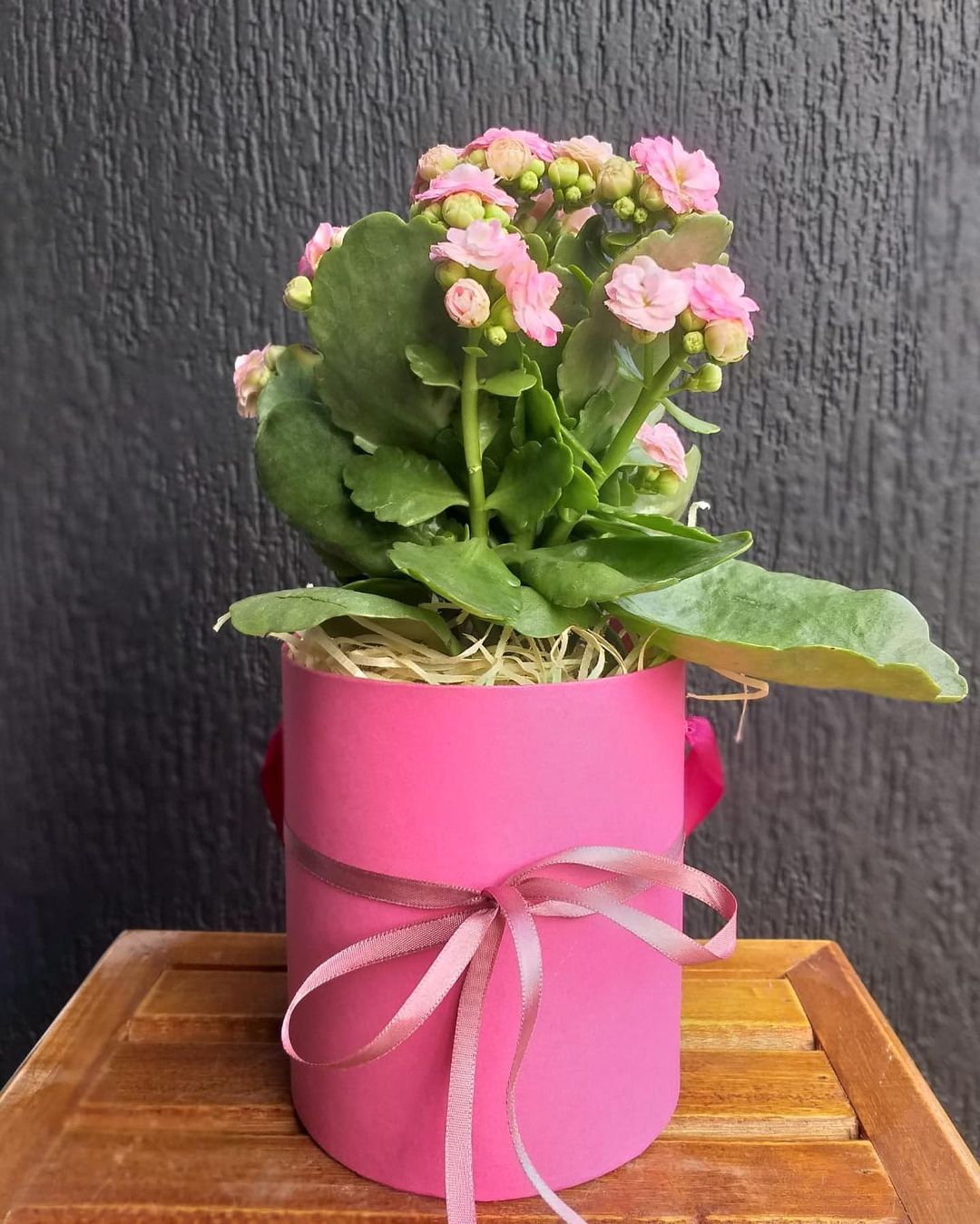 361132159_567830105561828_3756544991284602659_n