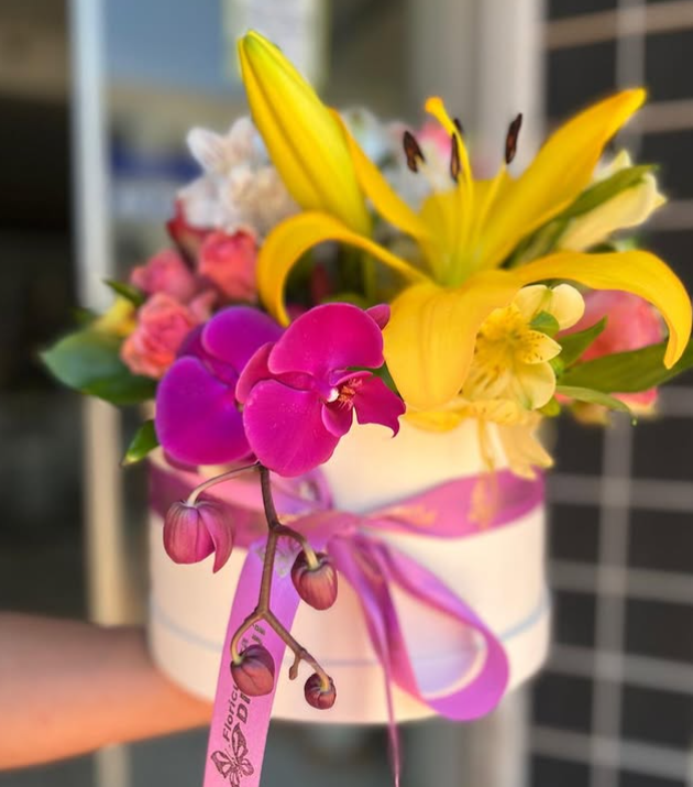 Captura de tela 2025-10-09 120324