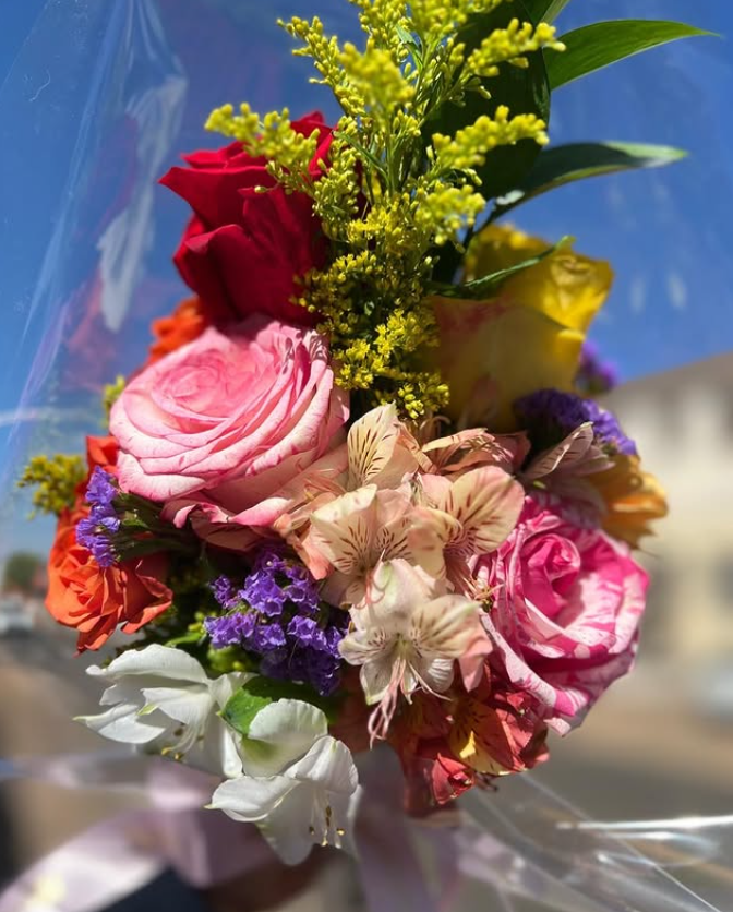 Captura de tela 2025-10-09 120353