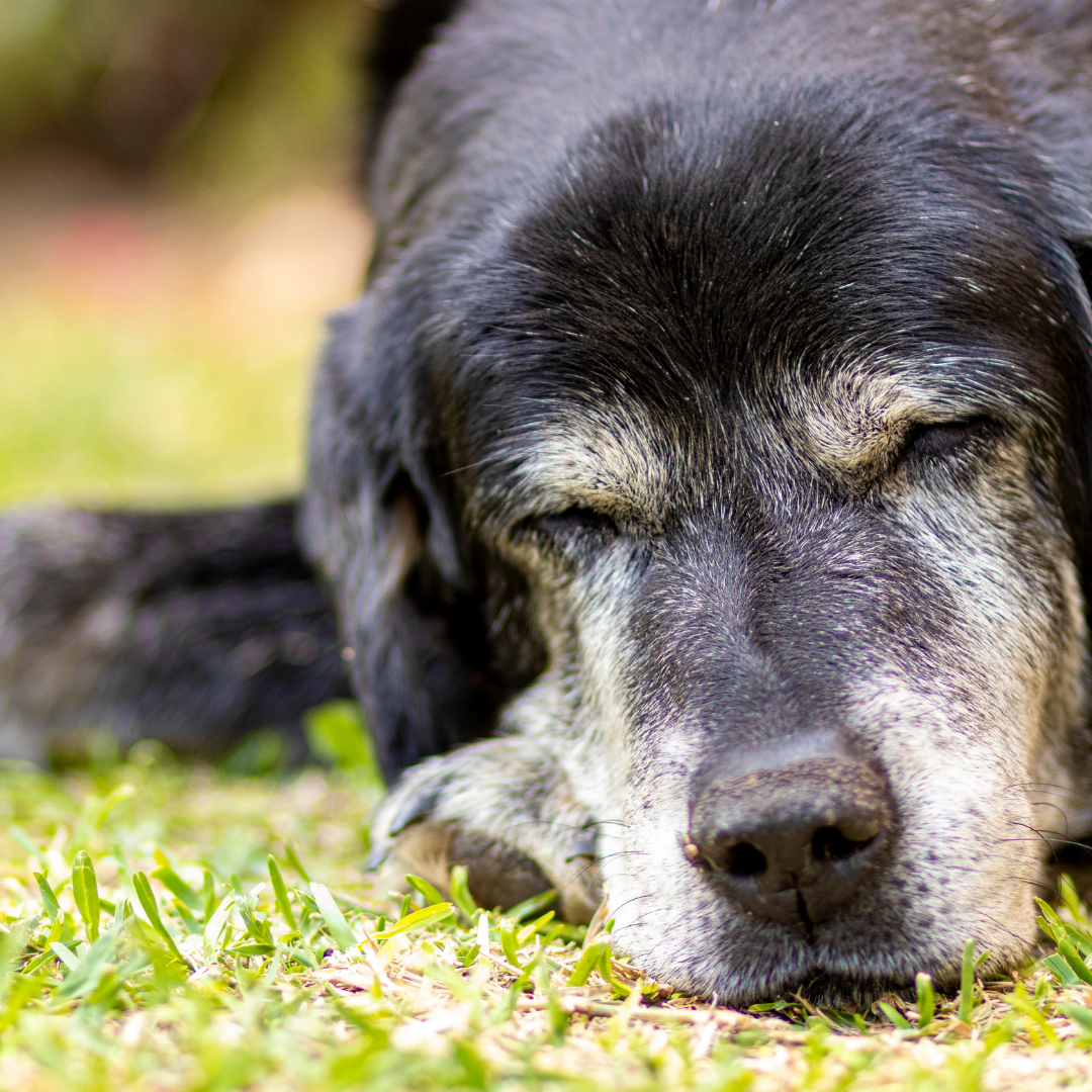 Design sem nome (18)