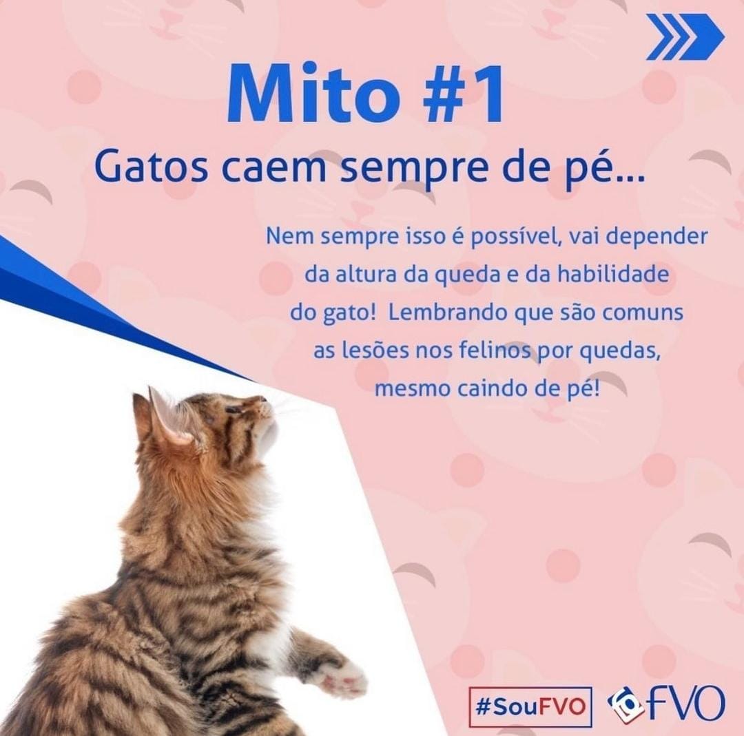 WhatsApp Image 2023-03-10 at 10.18.14