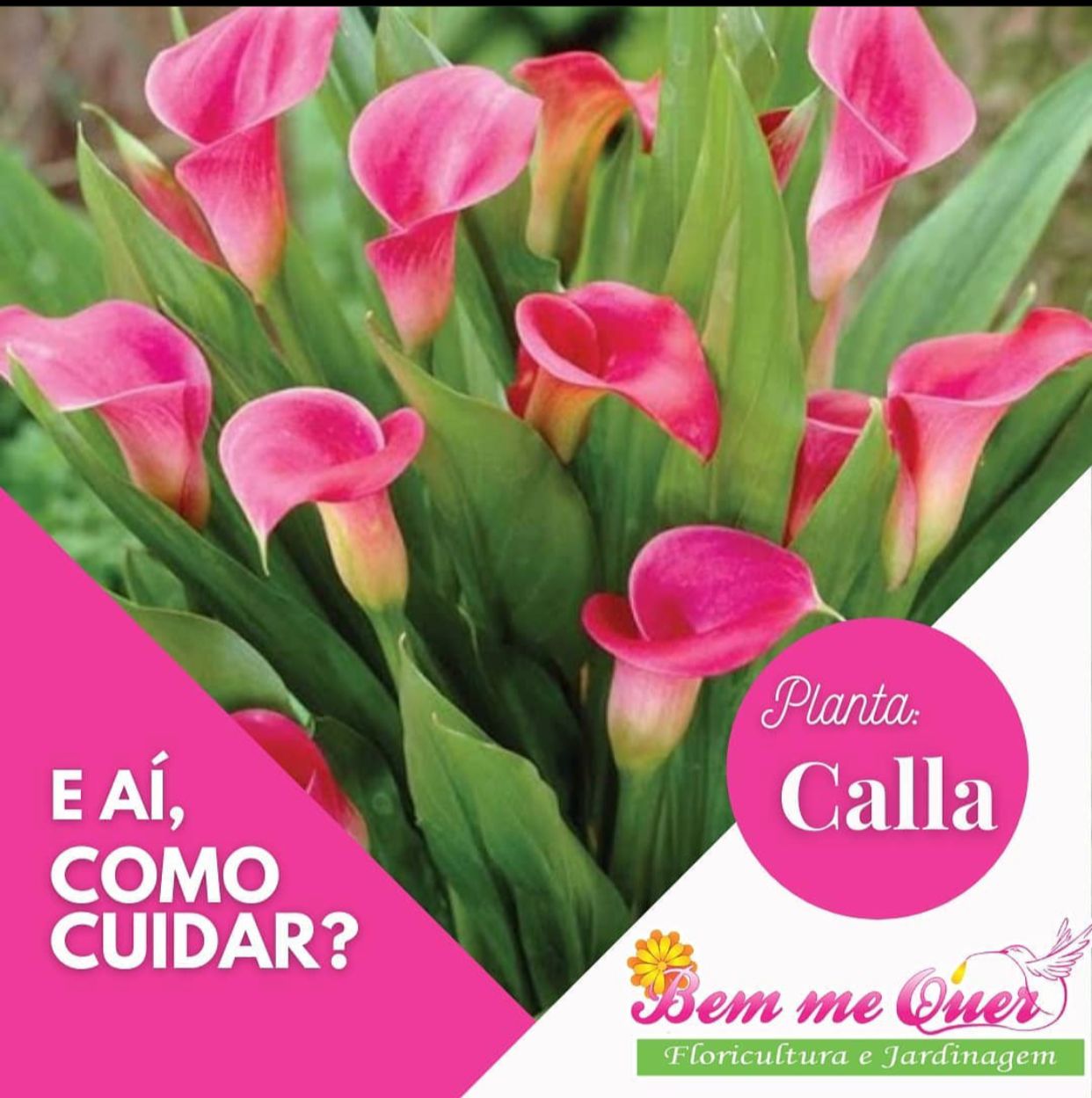 d64b053e-b80a-46b6-96f3-4bb546457ac1