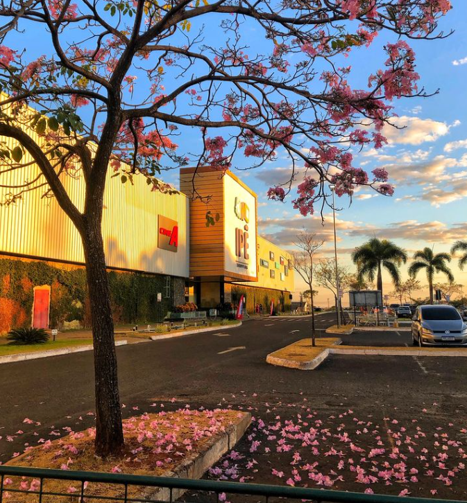 Captura de tela 2024-08-09 083443