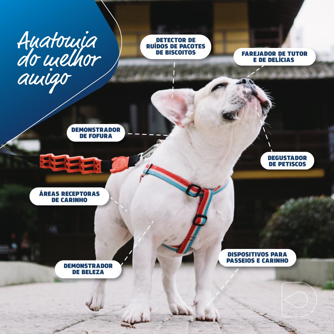 DrogaVET - Farmácia de Manipulação Veterinária