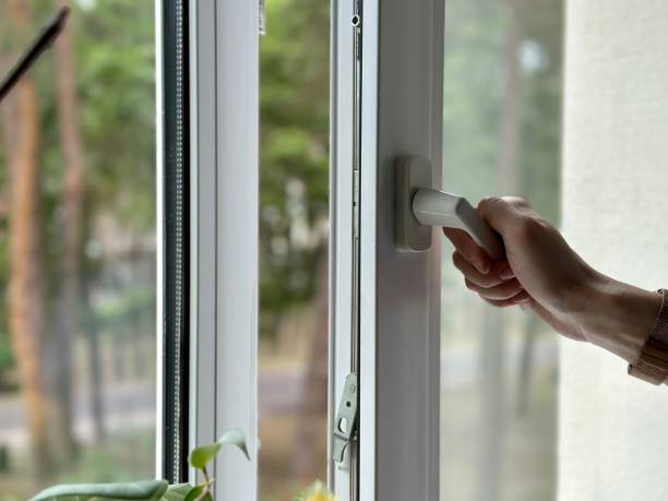 istockphoto-1500005568-612x612