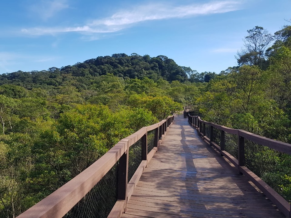 5daa205a-9bc8-4f64-b78a-318aac1e0797