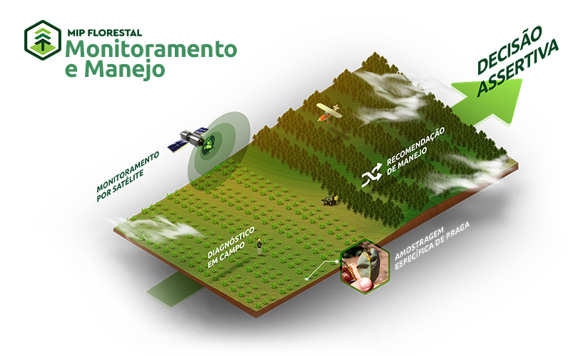 2-monitoramento-e-manejo-site 2-monitoramento-e-manejo-site
