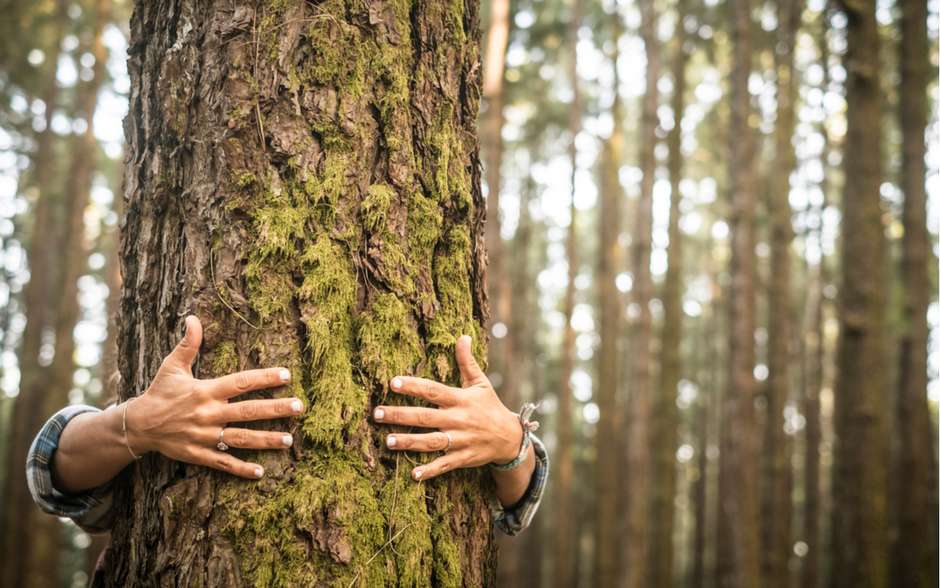 1994035543-meioambiente