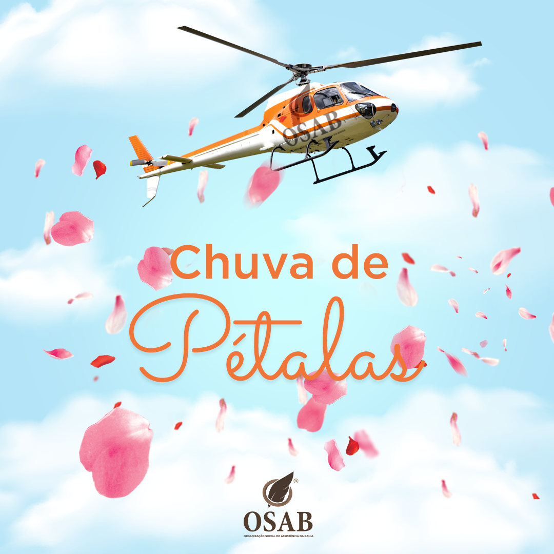 Chuva pétalas _ Osab (2) Chuva pétalas _ Osab (2)