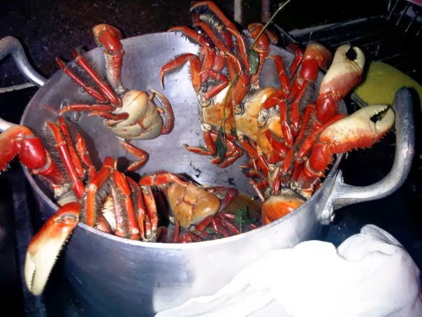 Como se livrar dos pessimistas e mesquinhos caranguejos que te cercam.