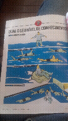 Qual o seu nível de conhecimento