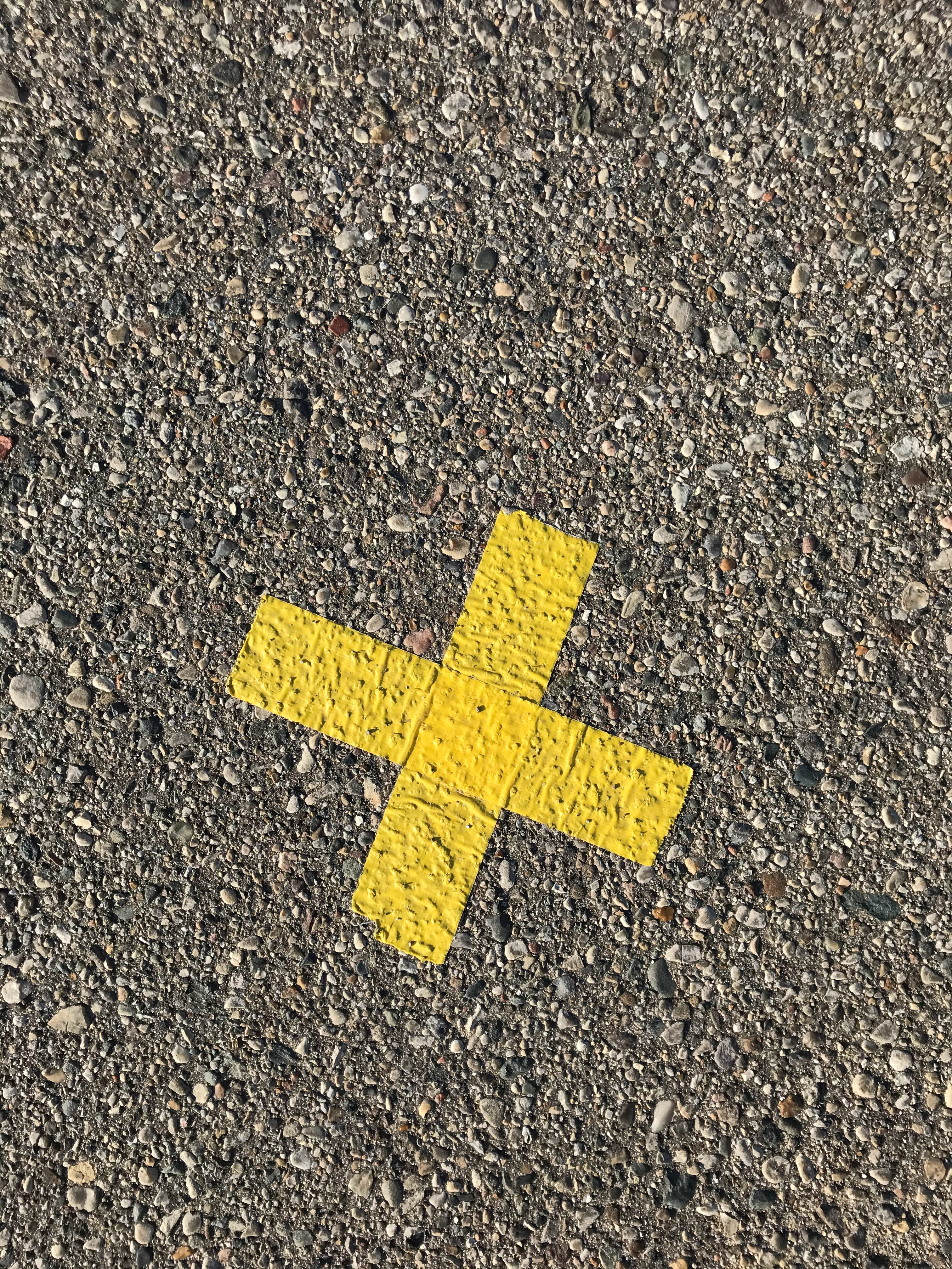 tracy-brower-blNd8utDguM-unsplash tracy-brower-blNd8utDguM-unsplash