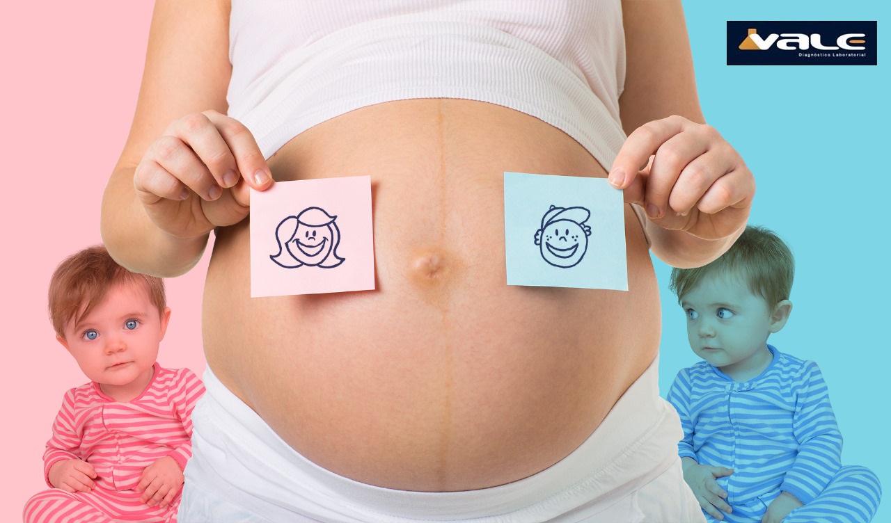 Post 9 - É MENINO OU MENINA Post 9 - É MENINO OU MENINA