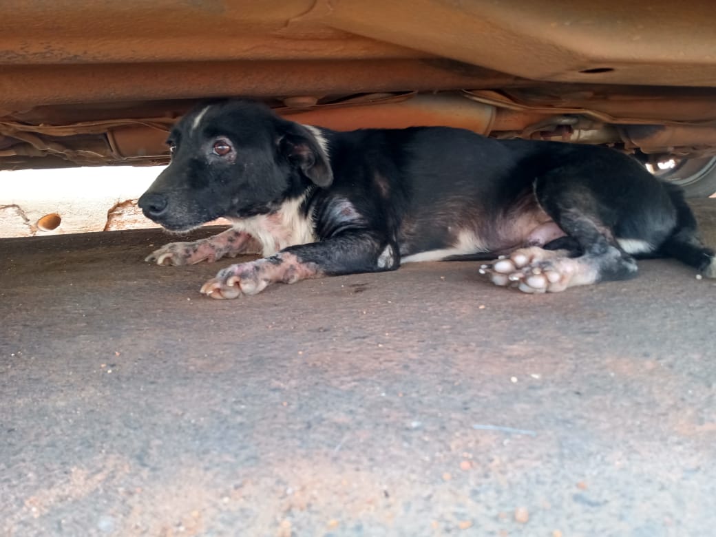 WhatsApp Image 2020-12-10 at 11.03.21