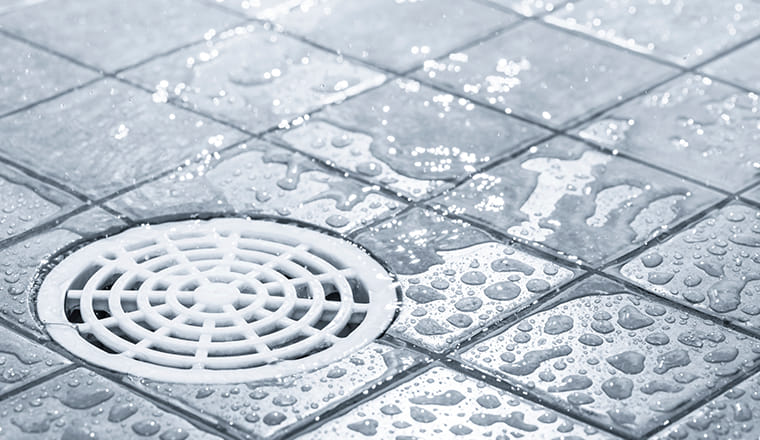 87513425_1108442686179767_2992365571242196992_n