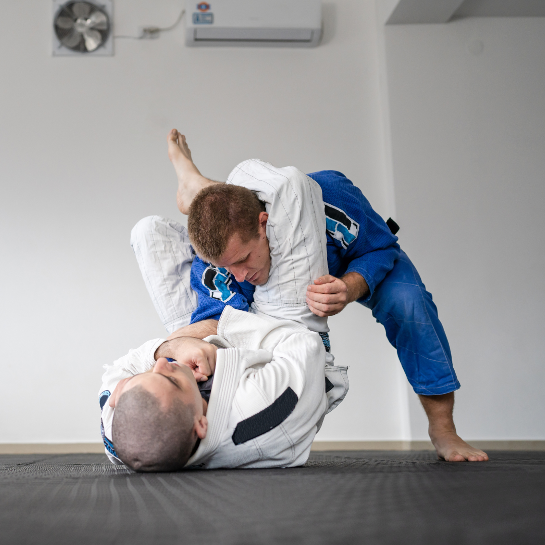 Cópia de Cópia de Cópia de Cópia de Cópia de Cópia de Cópia de Cópia de Sem nome (1200 x 500 px) (1920 x 1000 px) (1920 x 1000 px) (500 x 500 px) (500 x 500 px) (500 x 500 px) (1080 x 1080 px)