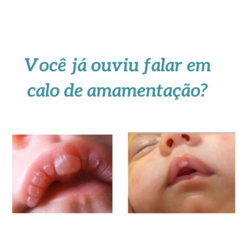 Logo Solutudo (100 x 100 px)