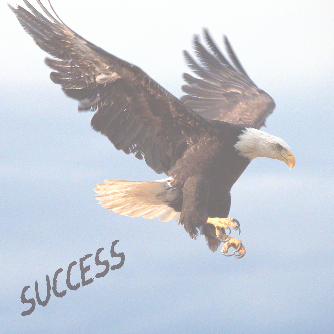 Cópia de Cópia de Cópia de Logo-Alta-Resolução.pdf (1080 x 1080 px) (1920 x 1000 px) (1080 x 1080 px) (3)