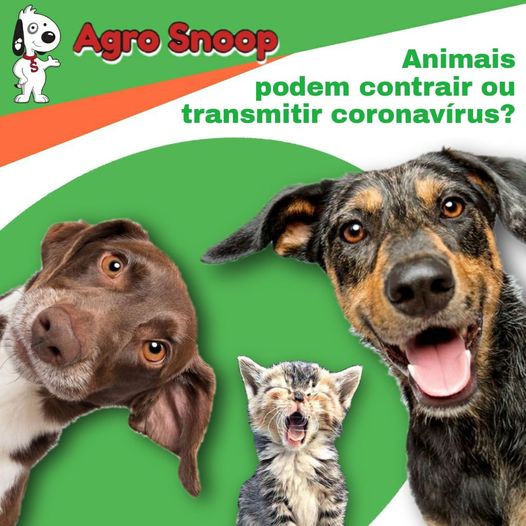 138541439_1592650434276189_8241757298971350988_o