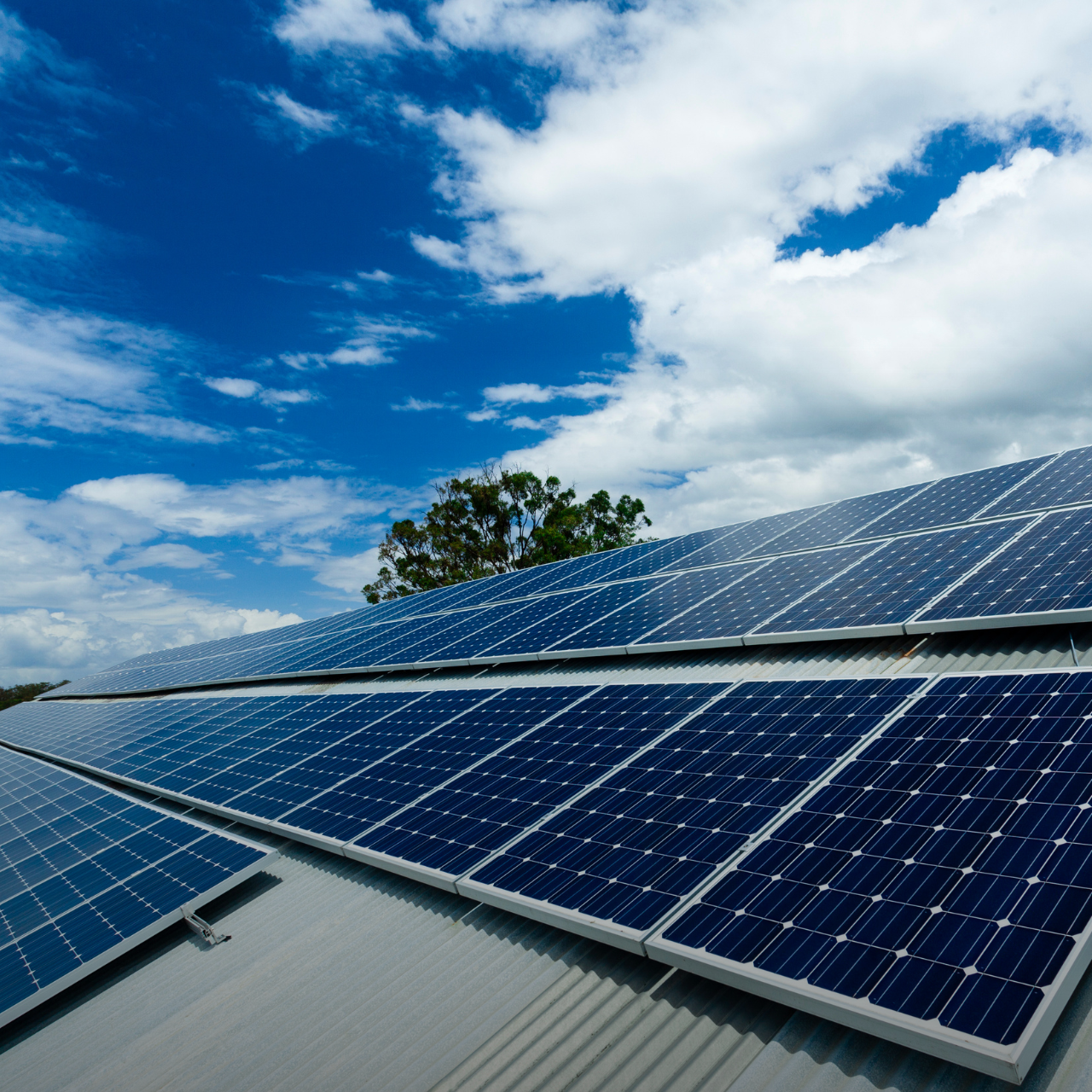 Sem nome (1280 x 1280 px) (5)