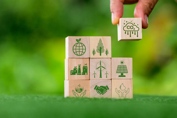 istockphoto-1431928035-612x612