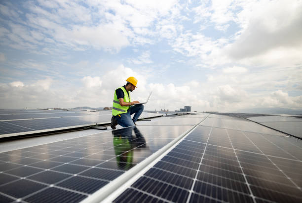 istockphoto-1493545488-612x612