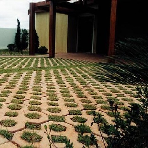 191726151_1808946062600508_3408482084256419050_n