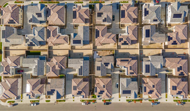 istockphoto-1456057619-612x612