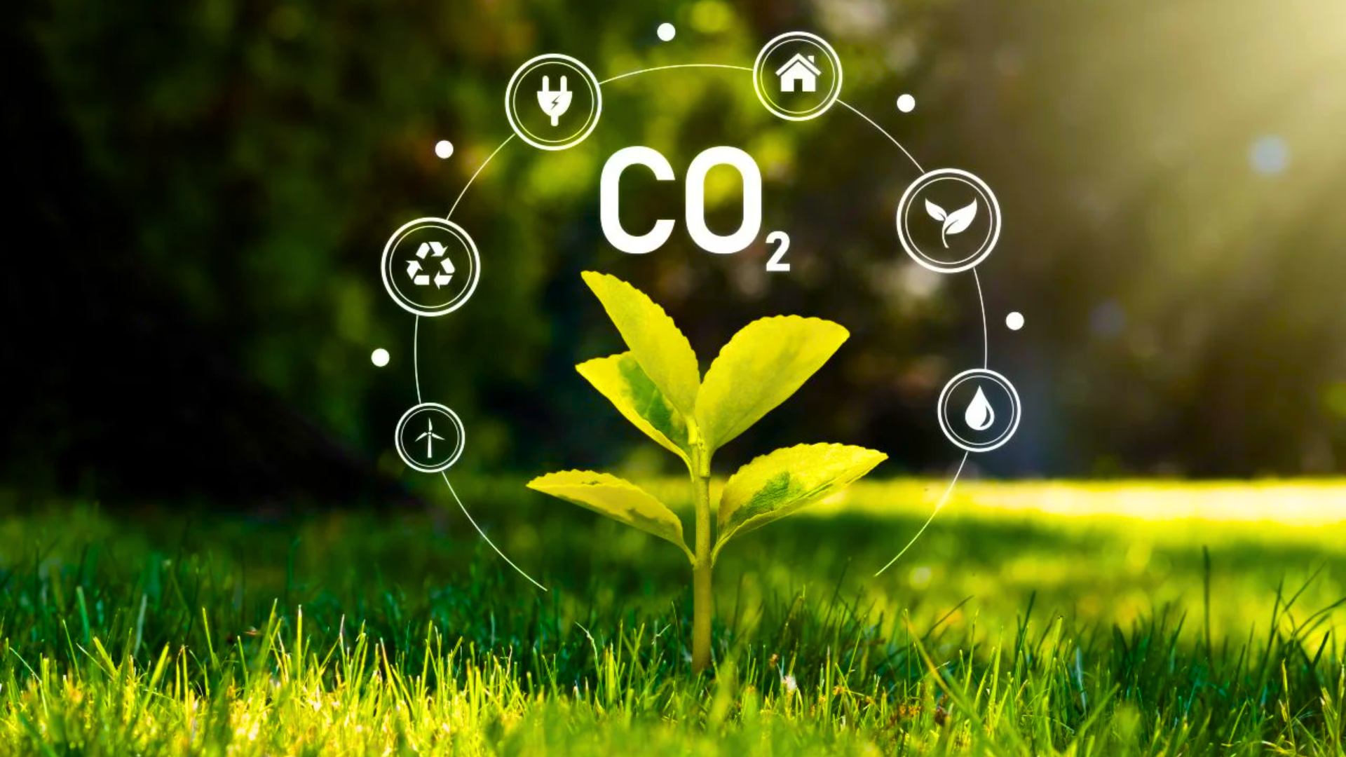 Edições de capas (22)