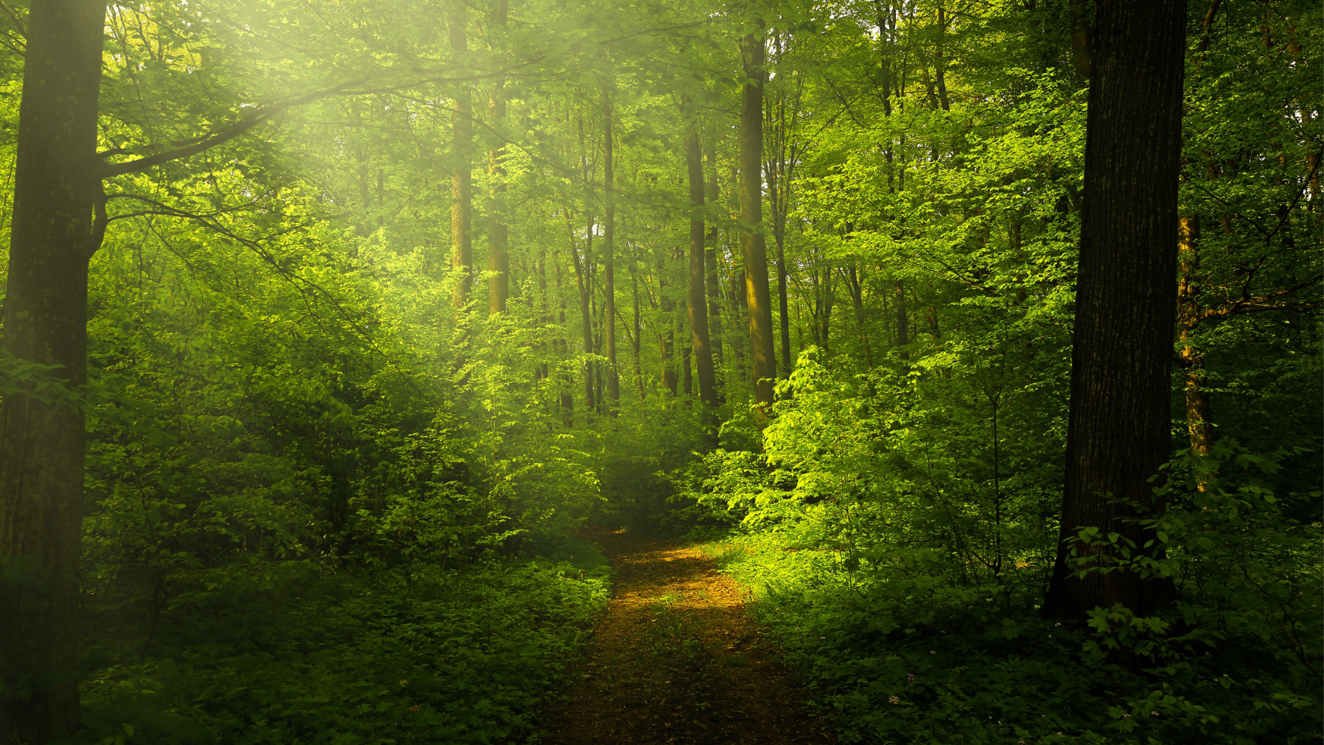 Edições de capas (6)