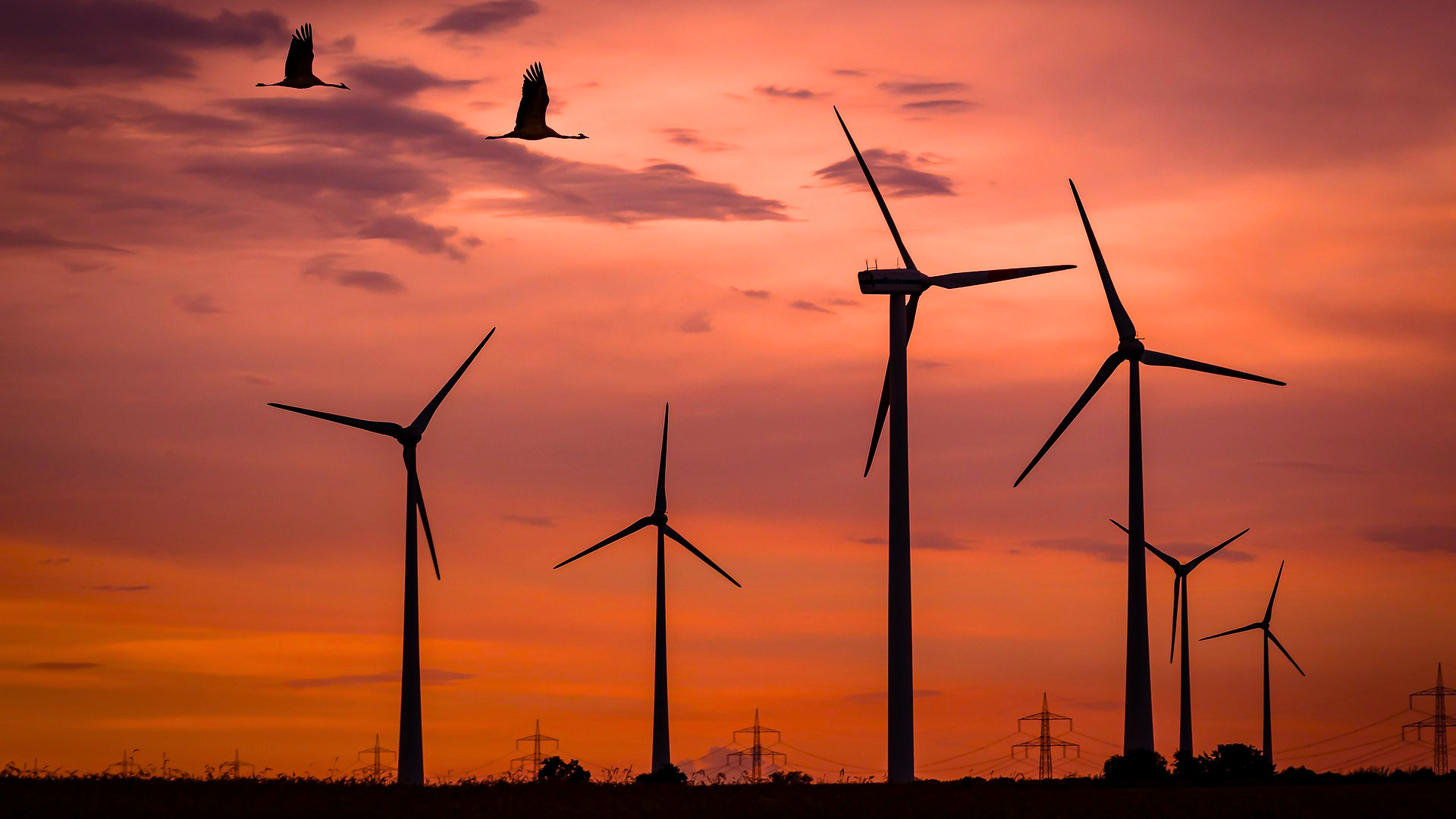 Edições de capas (23)