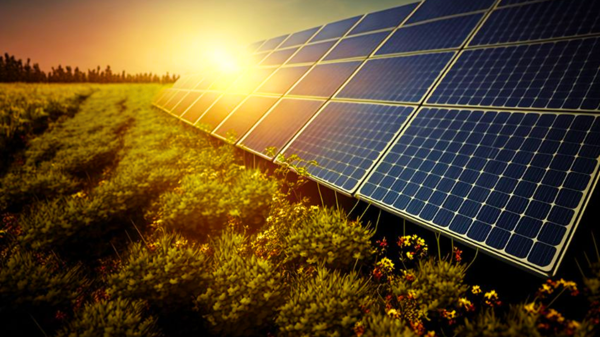 Edições de capas (8)