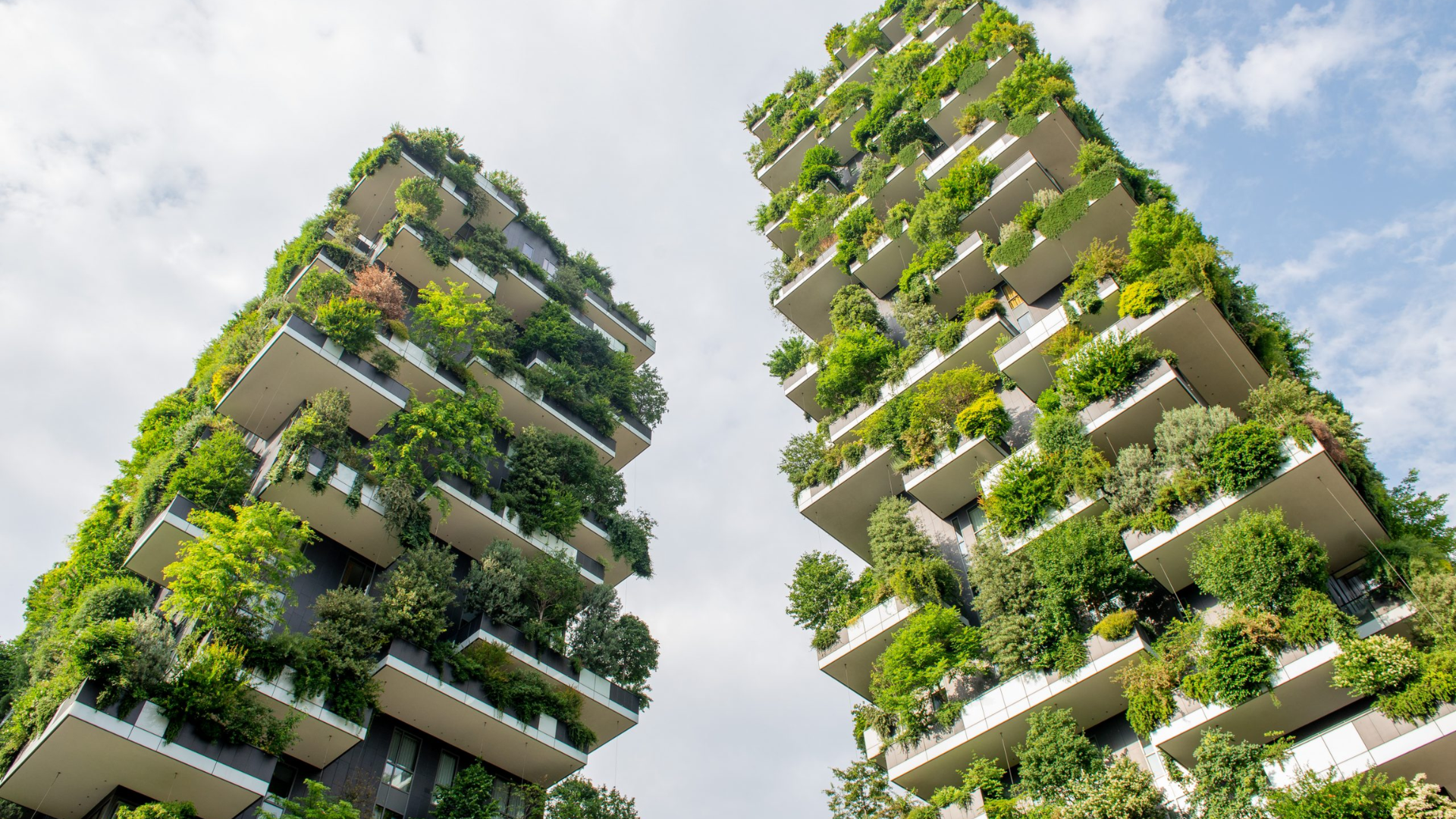 Edições de capas 9